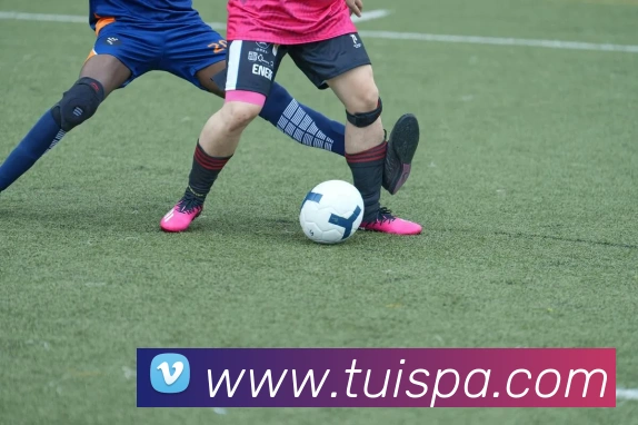 pa真人视讯服务体系